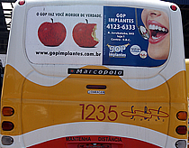pic-4